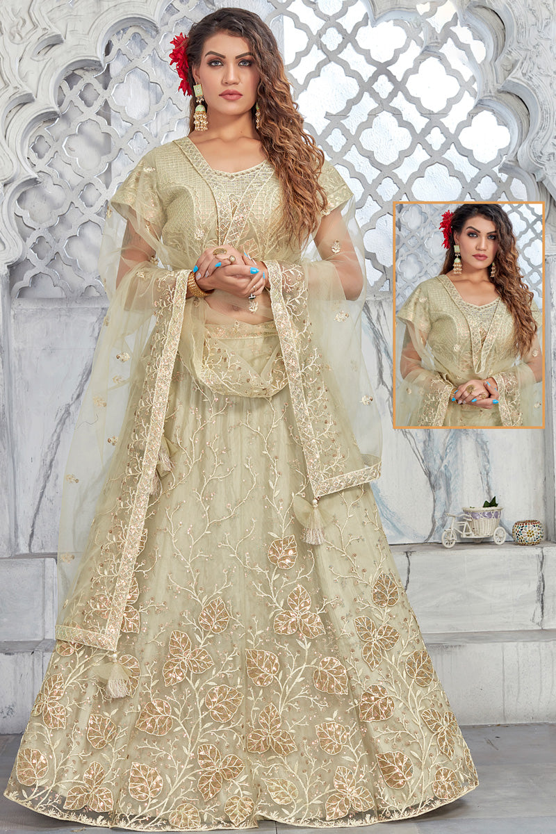 Net Fabric Brilliant Function Look Lehenga In Beige Color